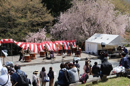 4月7日・8日かみかわ桜の山「桜華園」さくらまつりの写真