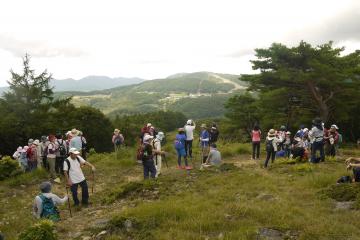 8月11日 おおかわち高原ハイキングの写真3