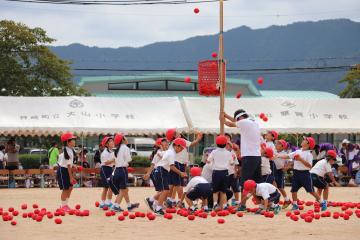 9月23日 神河町幼稚園・小学校合同運動会の写真2