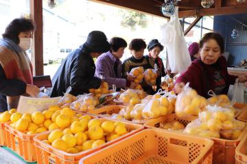 11月23日 根宇野ゆず祭りの写真1