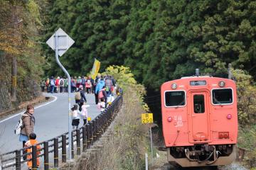 11月23日 紅葉ウォーキング＆長谷駅投稿写真コンテスト表彰式の写真1