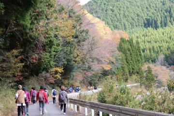 11月23日 紅葉ウォーキング＆長谷駅投稿写真コンテスト表彰式の写真2