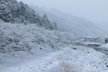 1月26日 神河町も雪景色の写真