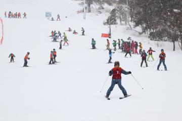 1月31日 神河中学校2年生 スキー実習の写真3