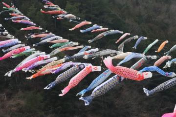 3月26日 グリーンエコー笠形『こいのぼり大空遊泳』の写真