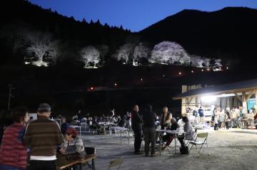 4月6日 高峰公園『天空の夜桜まつり』の写真