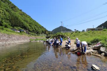 5月24日 越知谷小学校 稚アユの放流の写真4