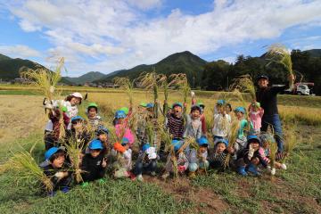 9月12日 神崎保育園 稲刈り体験の写真3