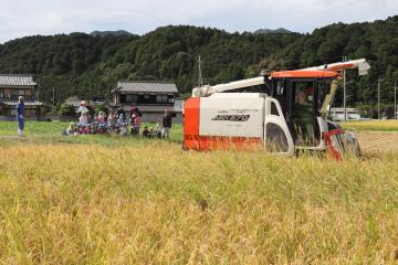 9月12日 神崎保育園 稲刈り体験の写真4