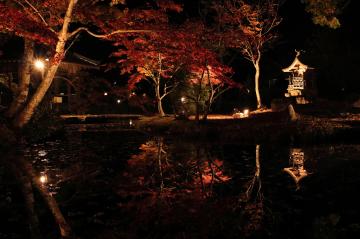 11月15日・16日・17日 福本藩池田家陣屋跡庭園ライトアップの写真
