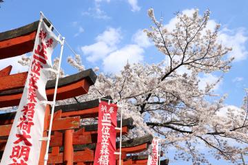 4月4日 神河町内で桜が満開の写真3