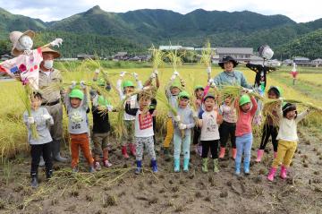 9月14日 神崎保育園 稲刈り体験の写真4