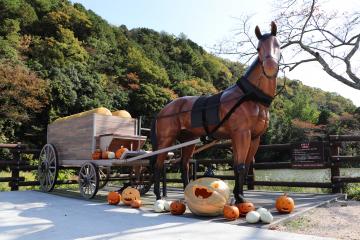 10月31日・11月1日 銀の馬車道を飾るかぼちゃランタンの写真1