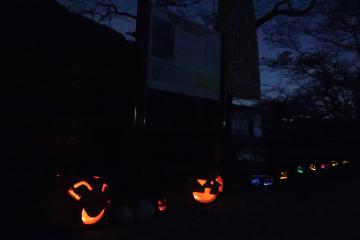 10月31日・11月1日 銀の馬車道を飾るかぼちゃランタンの写真4