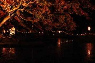 11月12日 福本藩池田家陣屋跡庭園ライトアップの写真1