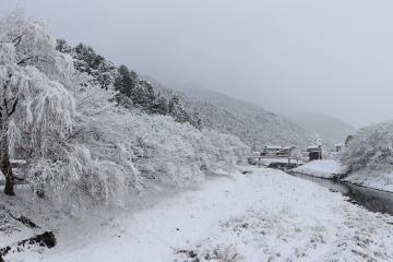 12月31日 神河町も雪景色の写真