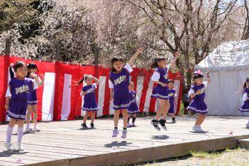 4月11日 かみかわ桜の山 桜華園『さくらまつり』の写真2