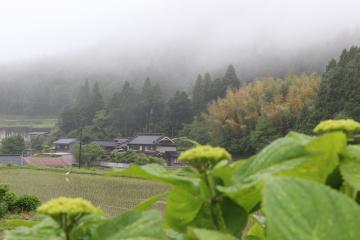 5月16日 近畿地方が梅雨入りの写真