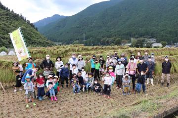 9月11日 米づくり体験家族 稲刈り体験の写真4