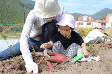 10月5日 1歳児親子活動 サツマイモ掘り体験の写真3