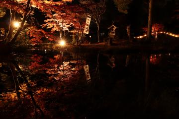 11月11日 福本藩池田家陣屋跡庭園ライトアップの写真