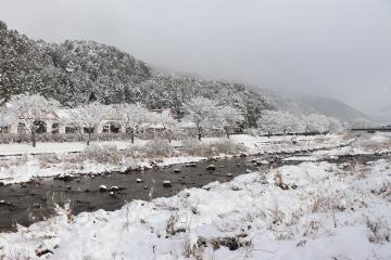 12月18日 神河町も雪景色の写真