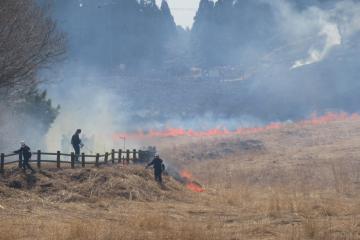 4月9日 砥峰高原の山焼きの写真3