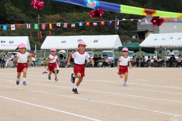 9月17日 神崎幼稚園・小学校合同運動会の写真2