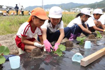 6月2日 神崎幼稚園・小学校 銀馬車かぼちゃの植え付け体験の写真3