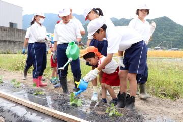 6月2日 神崎幼稚園・小学校 銀馬車かぼちゃの植え付け体験の写真4