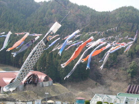 こいのぼり大空遊泳の様子