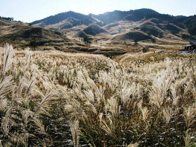 神河町の風景