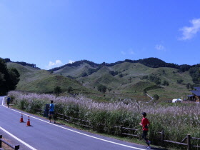 神河町誕生10周年記念高原ハーフマラソン大会の様子