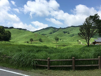 6月の砥峰高原の写真