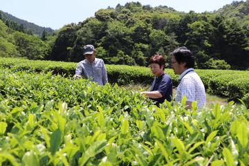 6月2日 道の駅「銀の馬車道・神河」仙霊茶 新茶販売会の写真4