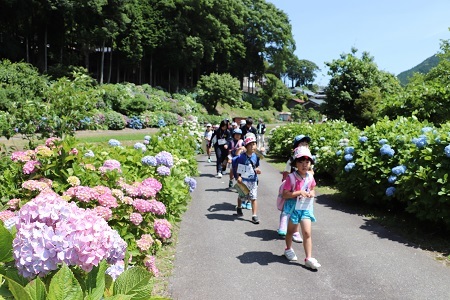 6月17日歴史ウォークの写真