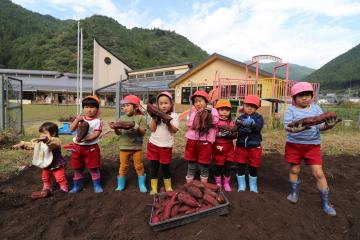 10月19日 越知谷幼稚園 サツマイモ掘りの写真3