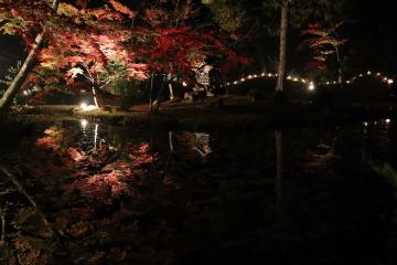 11月9日〜11日 福本藩陣屋跡庭園ライトアップの写真