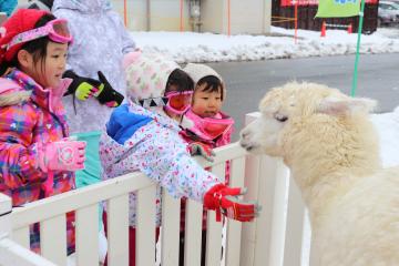 1月12日 峰山高原リゾート ホワイトピーク 「カーミンと一緒にお宝探し！」の写真3