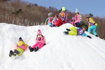 2月15日 神河町内小学校1・4年生「ふるさと冬の自然体験」の写真1