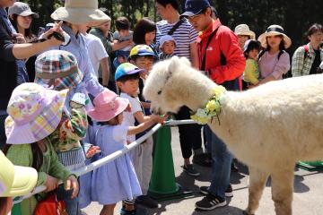 5月3日 ゴールデンウィーク ヨーデルの森の写真1