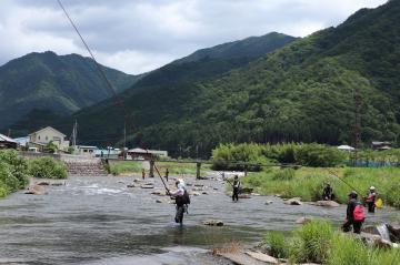 6月15日 越知川・猪篠川アユの友釣り解禁の写真