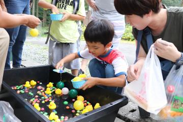 6月29日 新田ふるさと村 ほたるまつりの写真2