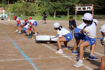 9月23日 越知谷幼稚園・小学校・地区合同運動会の写真10