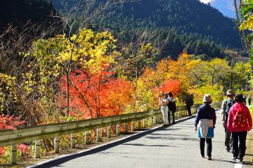 11月23日 紅葉ウォーキング＆長谷駅フォトコンテスト表彰式の写真1