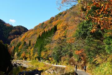 11月23日 紅葉ウォーキング＆長谷駅フォトコンテスト表彰式の写真3