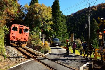 紅葉ウォークの画像