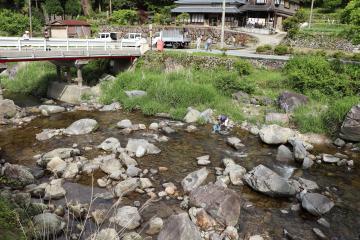 5月27日 越知川稚アユの放流の写真2