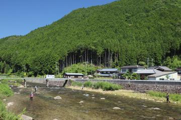 6月16日 越知川 アユの友釣りの写真