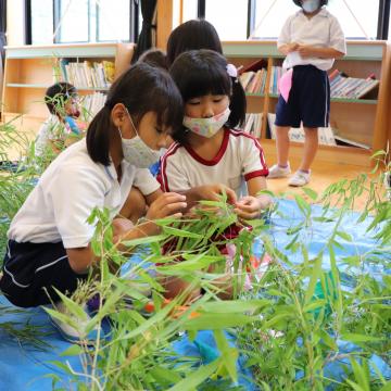 7月7日 神崎小学校1年生と神崎幼稚園年長児の交流学習 七夕飾り作りの写真1